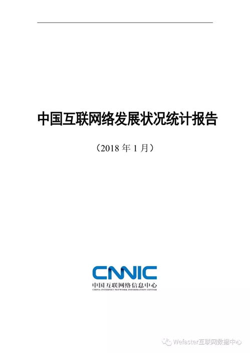 從《第41次中國互聯網絡發展狀況統計報告》看湖北軟件開發業的機遇與挑戰